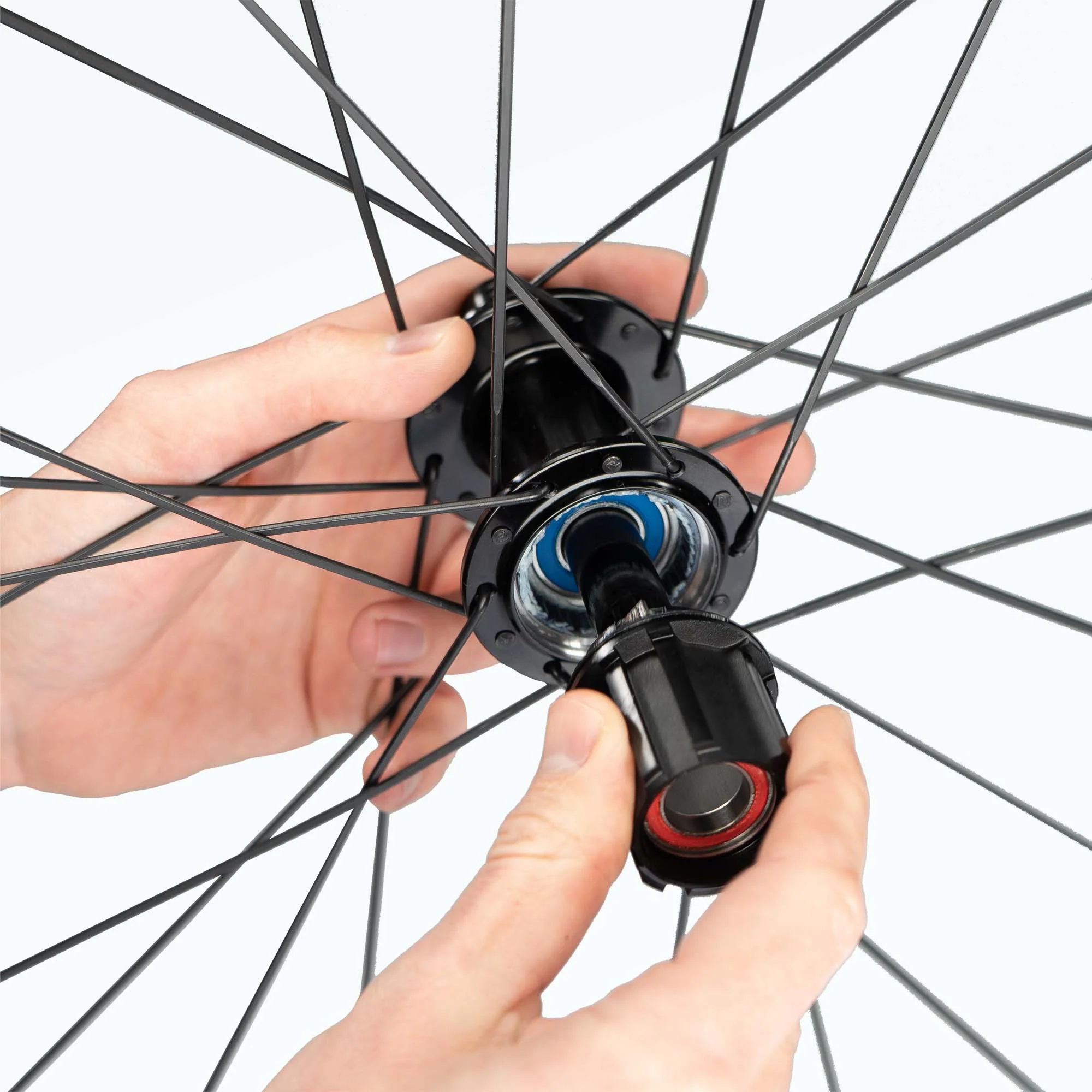 Umbau für BASIC Campagnolo / N3W Freiläufe